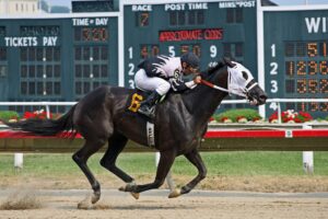 Live Streaming Horse Races: Elevating the Thrill of Betting